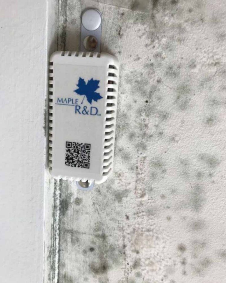 Maple Diagnostics air sensor on wall