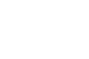 Maple Diagnostics logo white