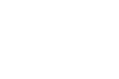 Maple Diagnostics logo white